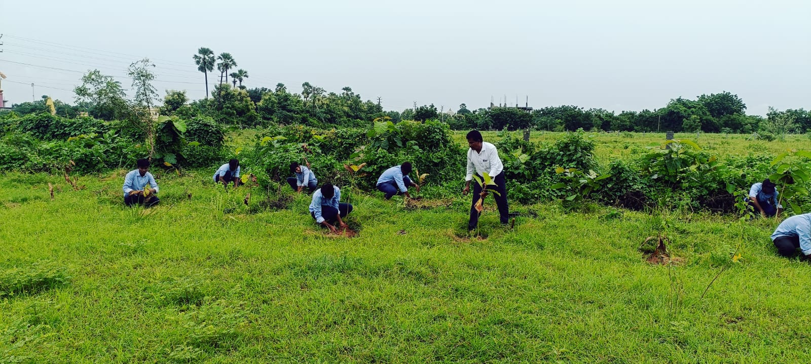 YOUTH RED CROSS and DEPT. OF BOTANY 150 TEAK SAPLINGS PLANTED
