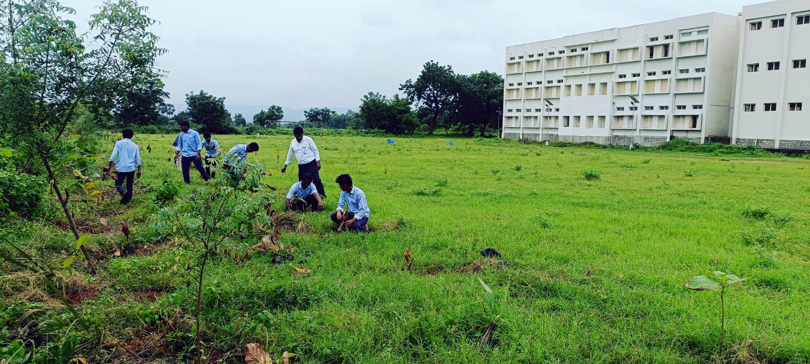 YOUTH RED CROSS and DEPT. OF BOTANY 150 TEAK SAPLINGS PLANTED