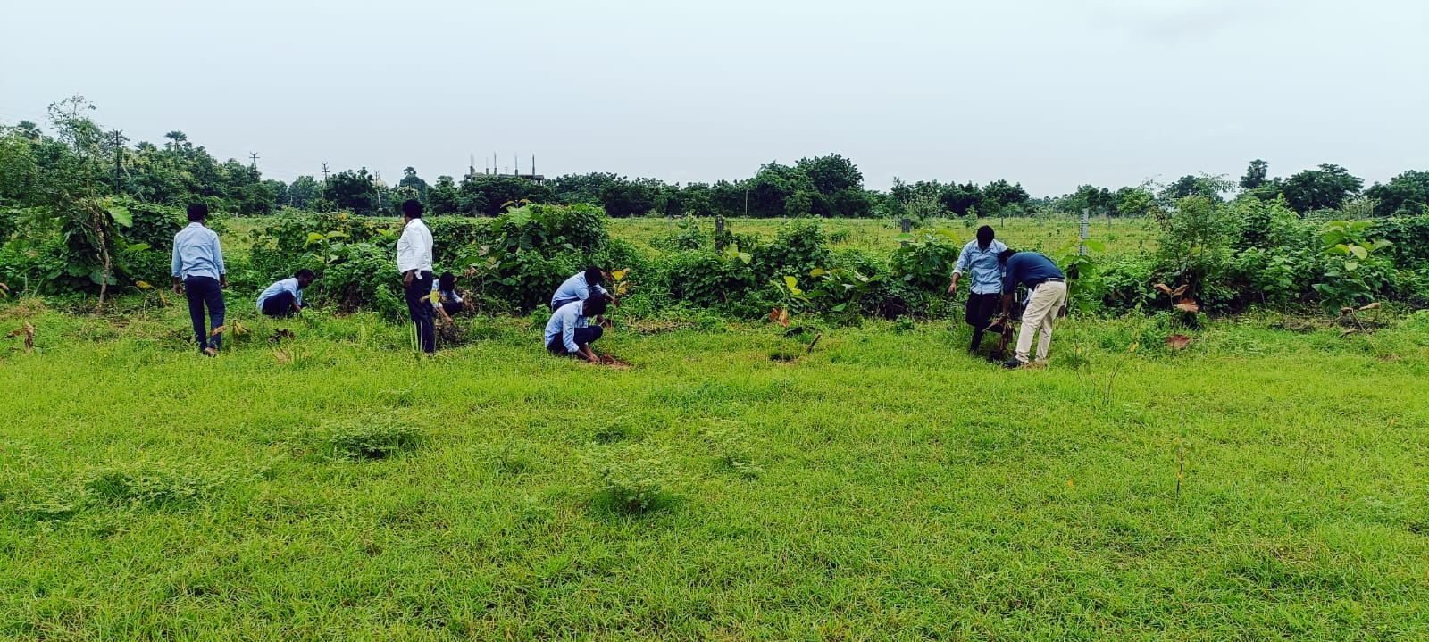 YOUTH RED CROSS and DEPT. OF BOTANY 150 TEAK SAPLINGS PLANTED
